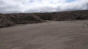 Очищенная от мусора береговая линия Карского моря