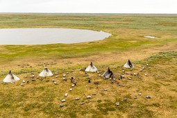 Летняя стоянка коренных народов в окрестностях Бованенковского месторождения