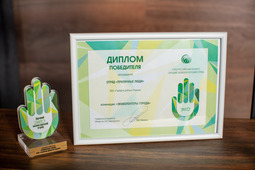 Диплом победителя в номинации «Эковолонтёры города»