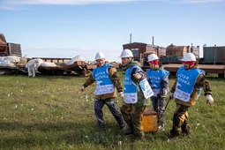 Командная работа волонтёров проекта «Чистая Арктика» на Харасавэе