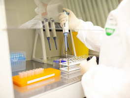 Исследование проб на определение антител к коронавирусной инфекции в ПЦР-лаборатории