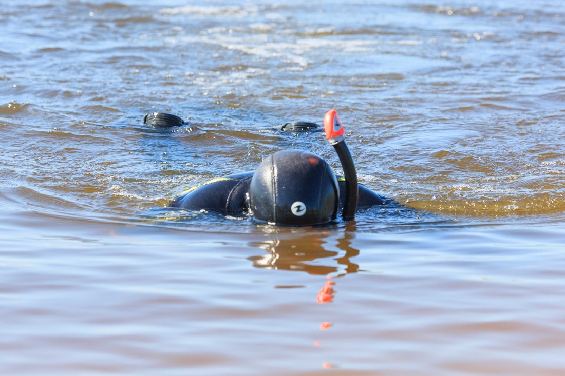 Мутновата северная водица