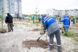 Молодые деревья украсили территории филиалов компании и сквер имени Юрия Топчева
