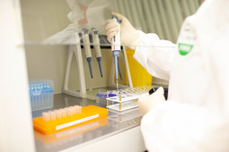 В ведомственных лабораториях проведено более 22 тысяч ПЦР-исследований на определение коронавирусной инфекции у работников компании