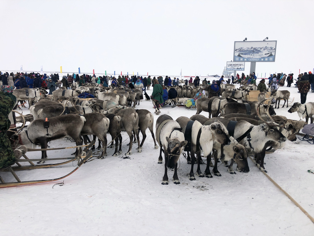ООО «Газпром добыча Надым» оказывает помощь Ямальскому району в сохранении культуры и традиций коренных народов Крайнего Севера