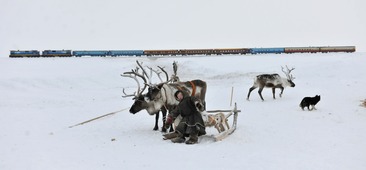 Остановка у стойбища оленеводов