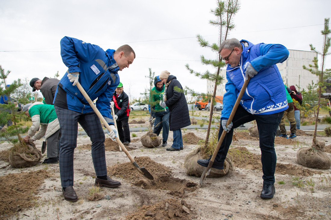 160 работников «Газпром добыча Надым» приняли участие в акции «Лес Победы»