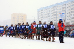 13 марта в Надыме состоялись открытые районные соревнования оленеводов на Кубок главы Надымского района