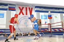 Ежегодный юношеский турнир по боксу имени Владислава Стрижова